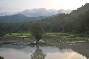 Nagari Siguntur berjulukan Camin Taruih Koto XI