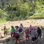 batanam padi serentak